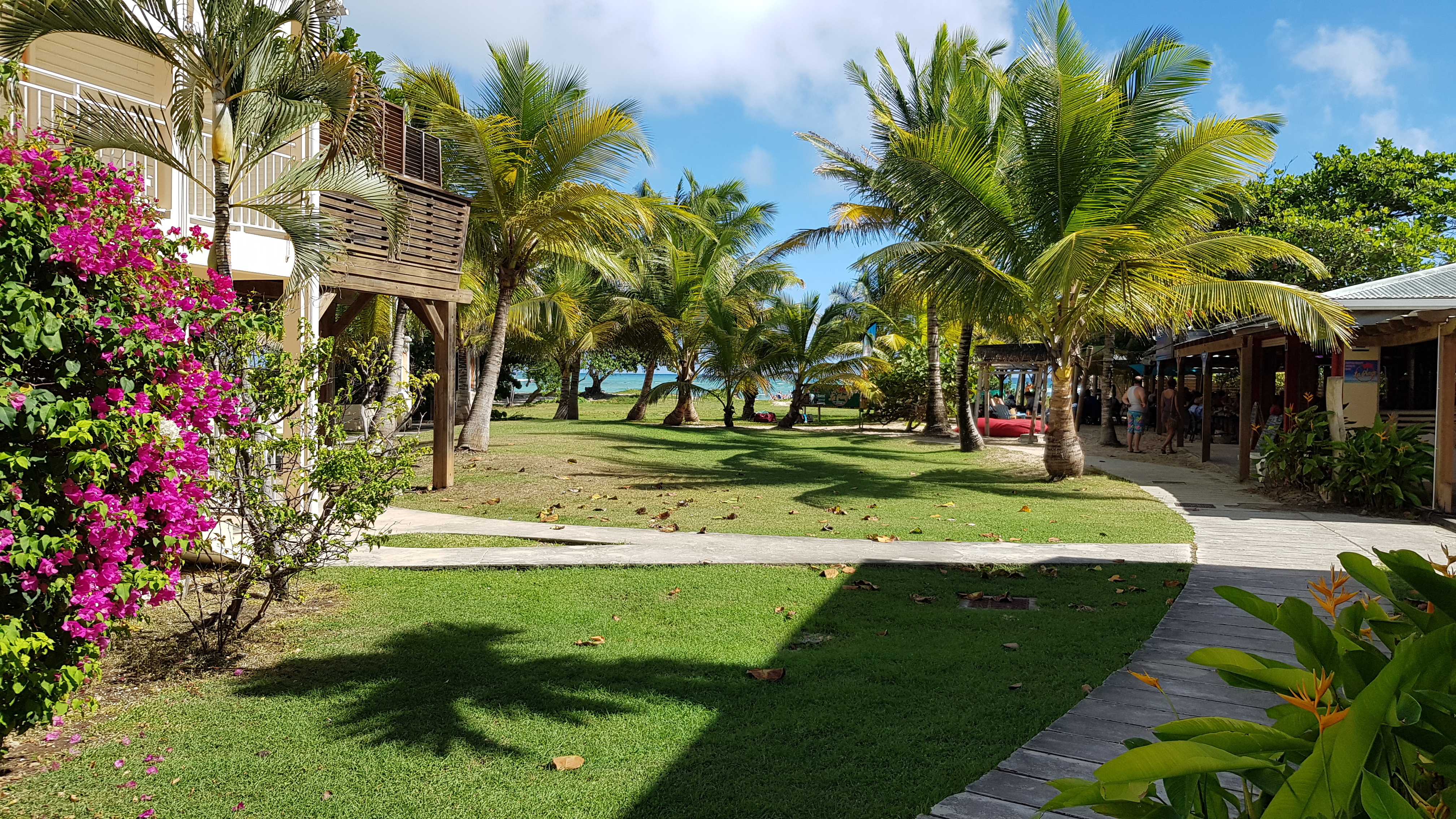 Commerces de proximité